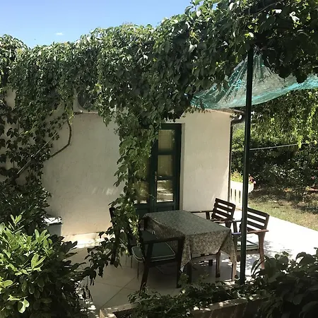 Davorka Bijelic Μούρτερ