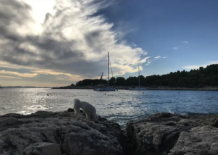 招待所 Davorka Bijelic