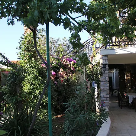 Davorka Bijelic 3*