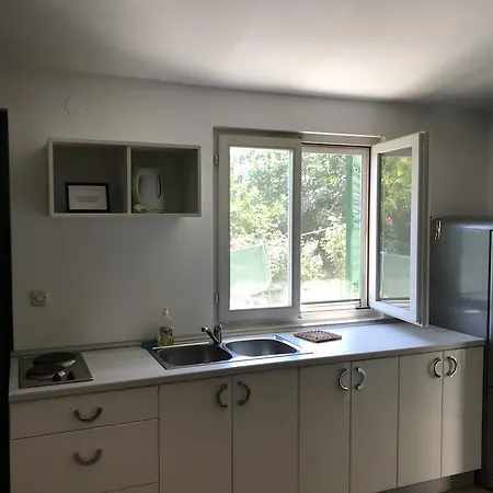 Davorka Bijelic Murter