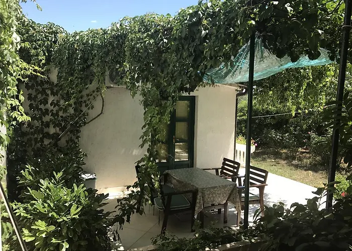 Davorka Bijelic Murter